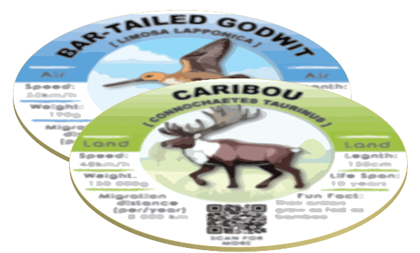 Navigators of Nature game cards featuring migratory animals